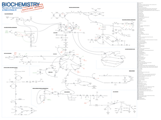 Biochemistry: Review of Metabolism (Medical Biochemistry Poster)