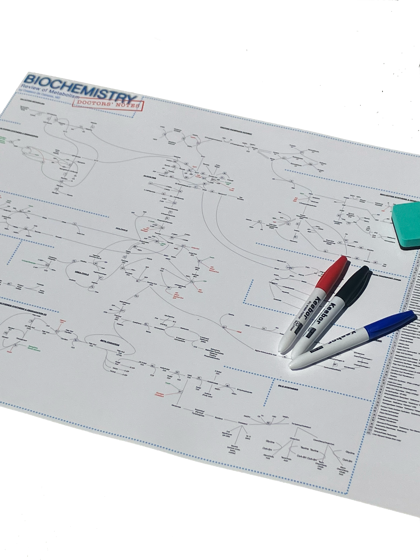 Biochemistry: Review of Metabolism (Medical Biochemistry Poster)