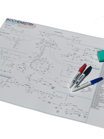 Biochemistry: Review of Metabolism (Medical Biochemistry Poster)